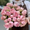 Кустовая пионовидная роза Pink Blossom